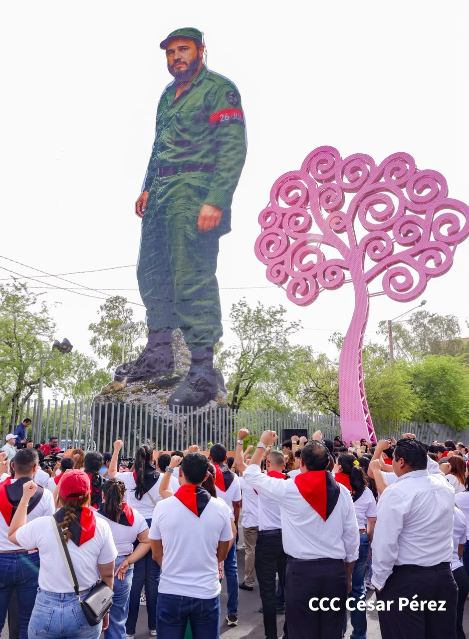 FIDEL14