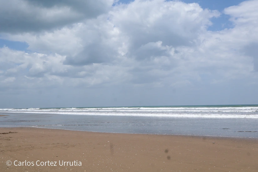 PLAYA17
