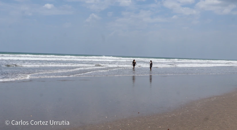 PLAYA18