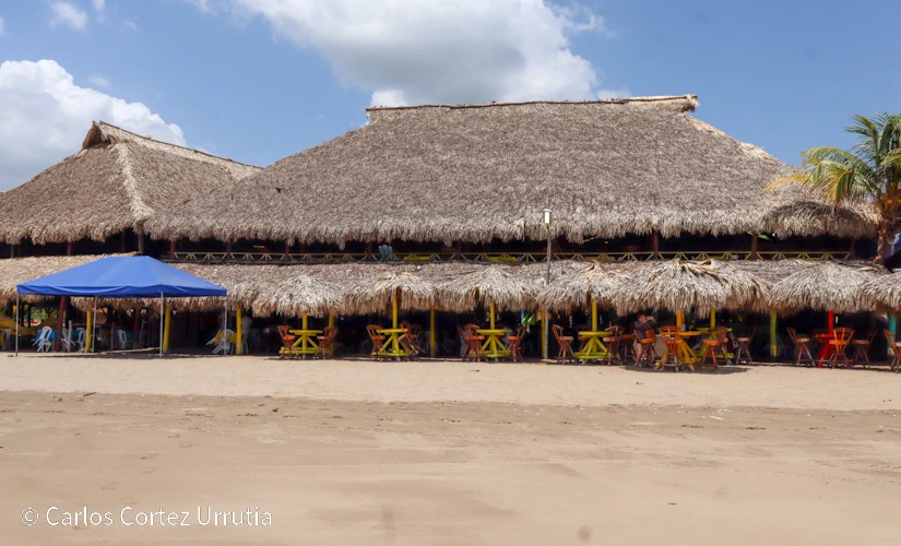 PLAYA20