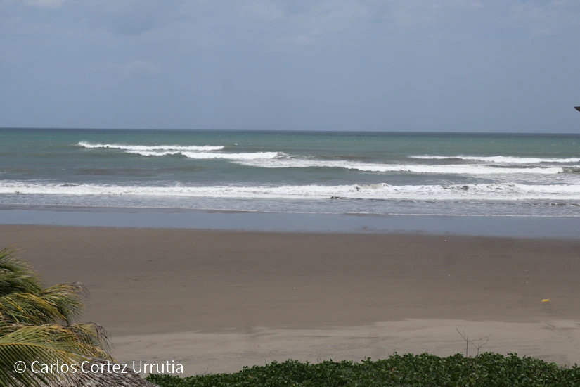 PLAYA4