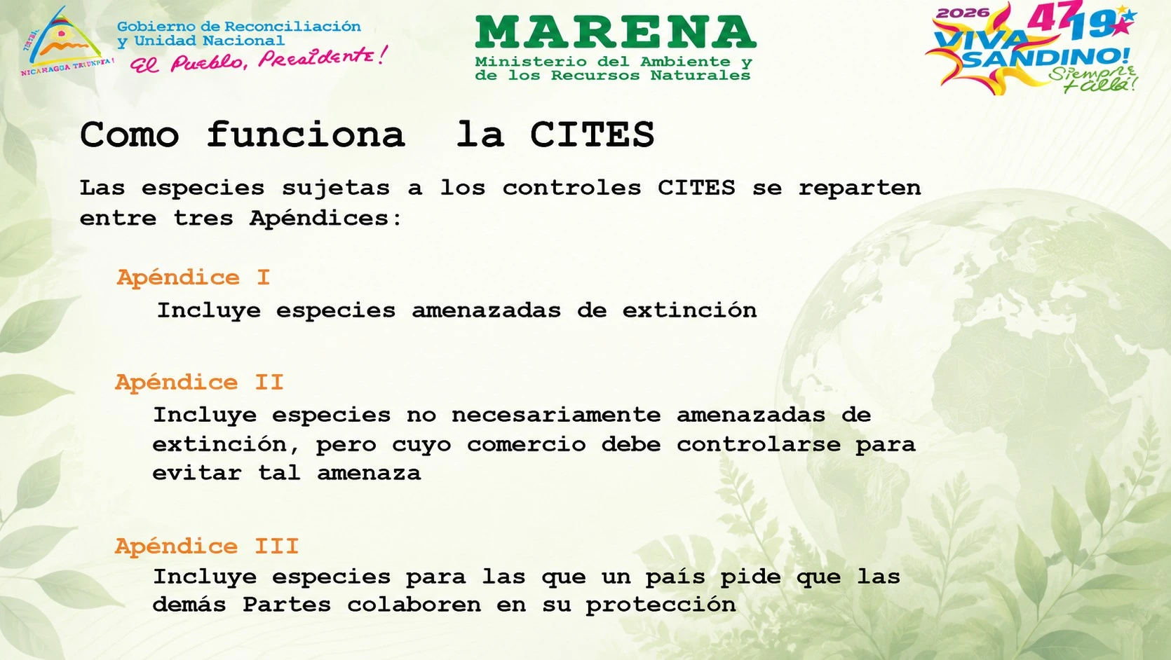 TALLER4
