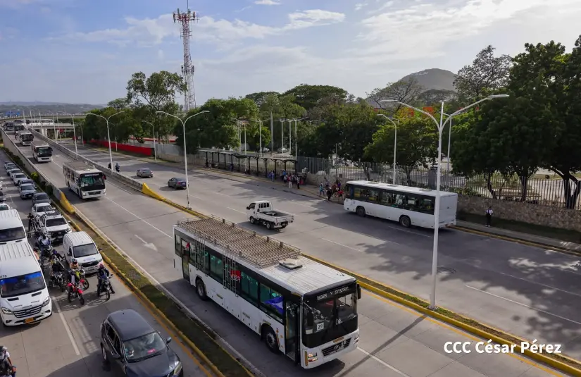 BUSES--(11)