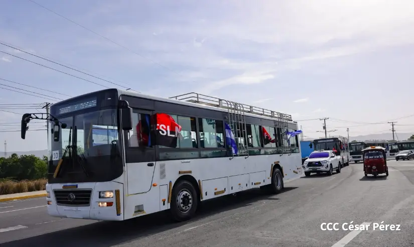 BUSES--(12)