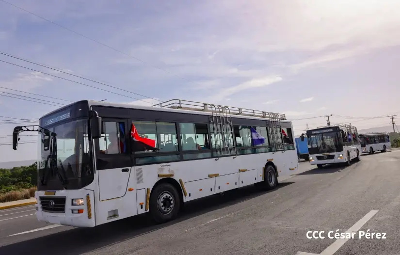 BUSES--(13)
