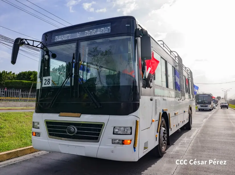 BUSES--(14)