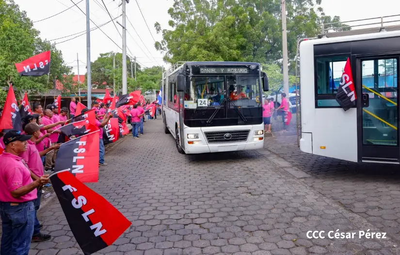 BUSES--(15)