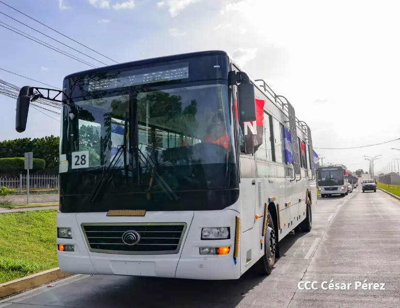 BUSES--(18)