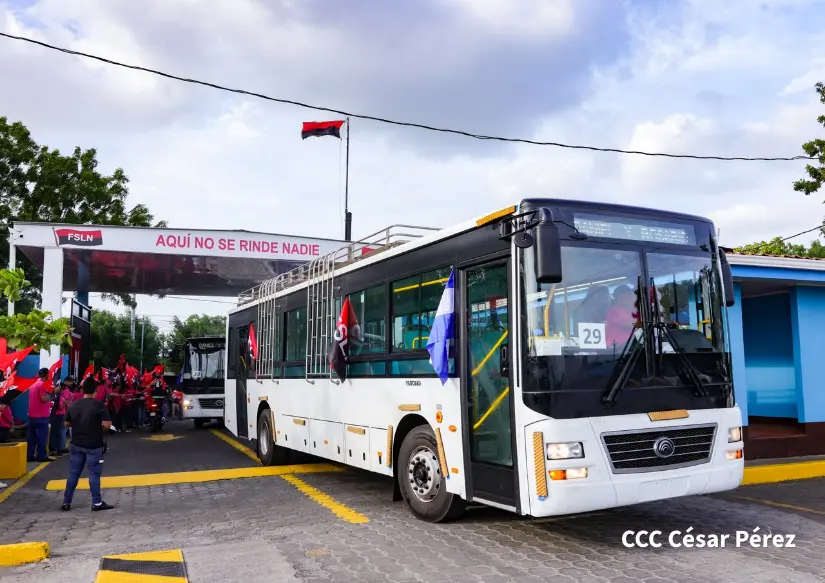 BUSES--(20)