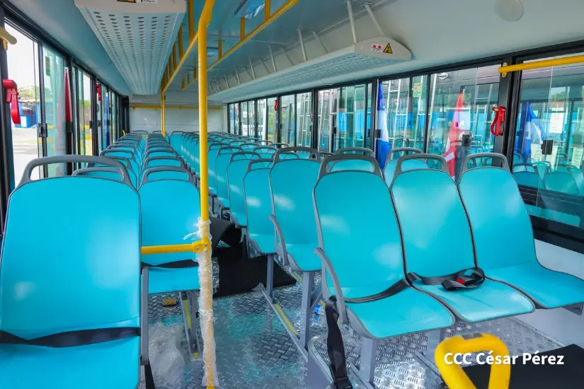 BUSES--(35)