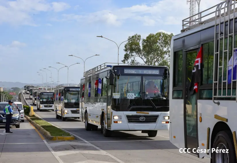 BUSES--(41)