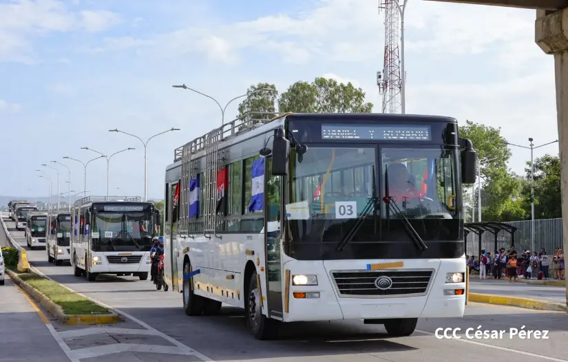 BUSES--(42)