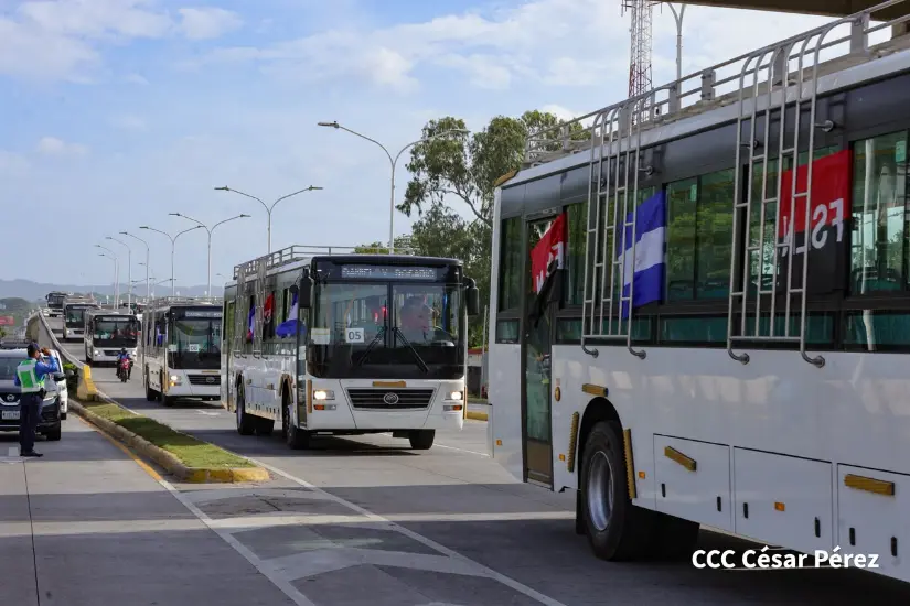 BUSES--(44)