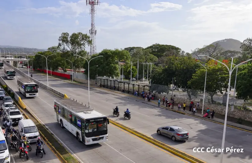 BUSES--(46)