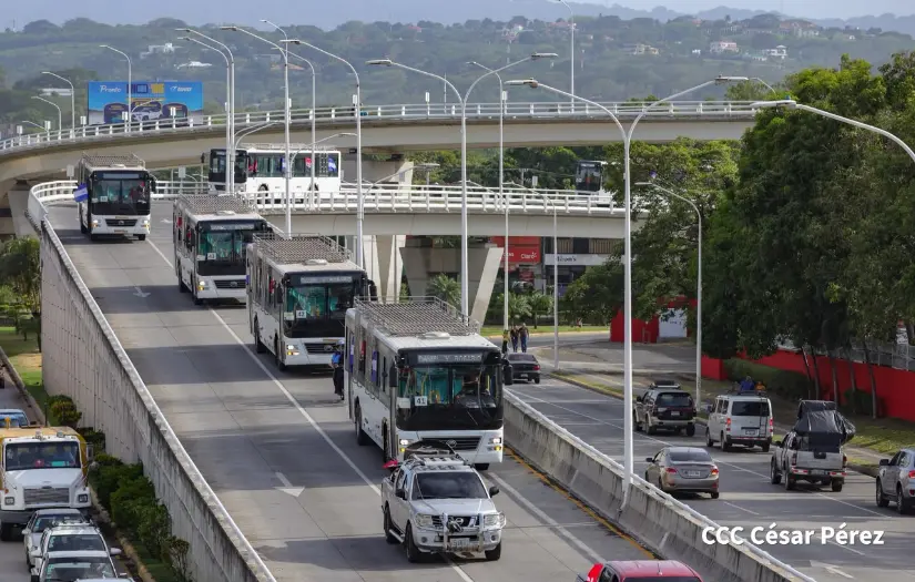 BUSES--(48)