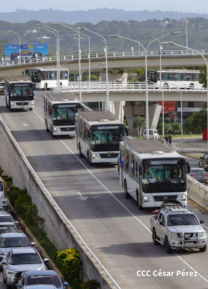 BUSES--(49)