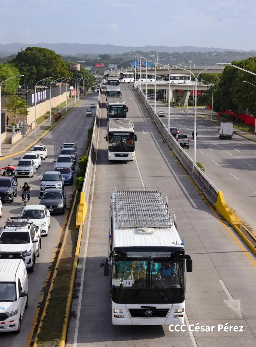 BUSES--(5)