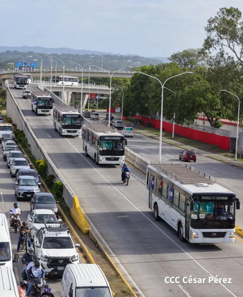 BUSES--(50)