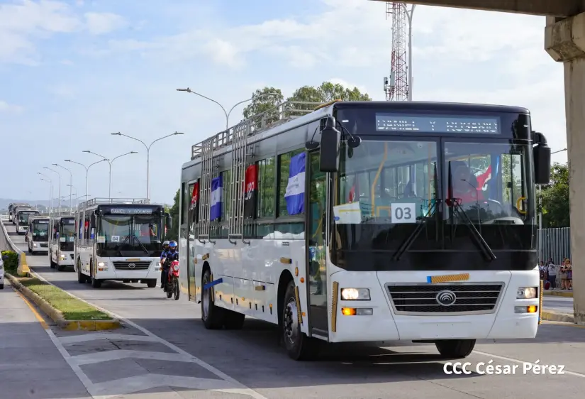 BUSES--(7)