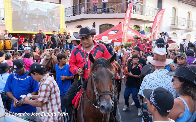GRANADA--(12)