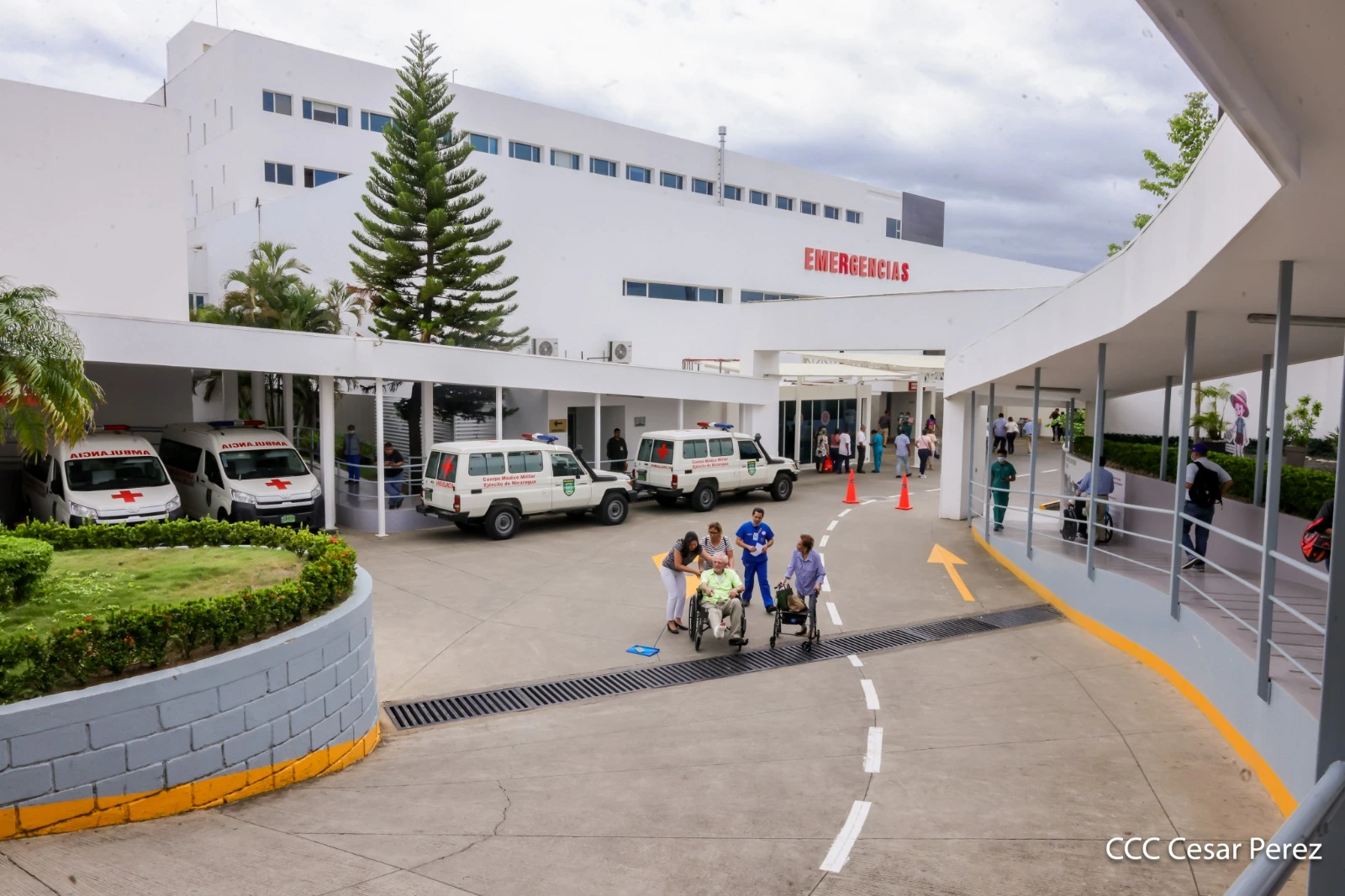 MEDICO15