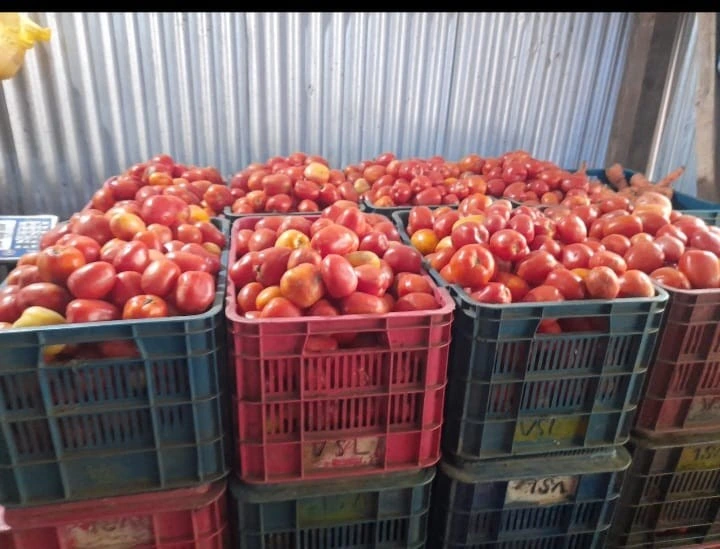 TOMATE4