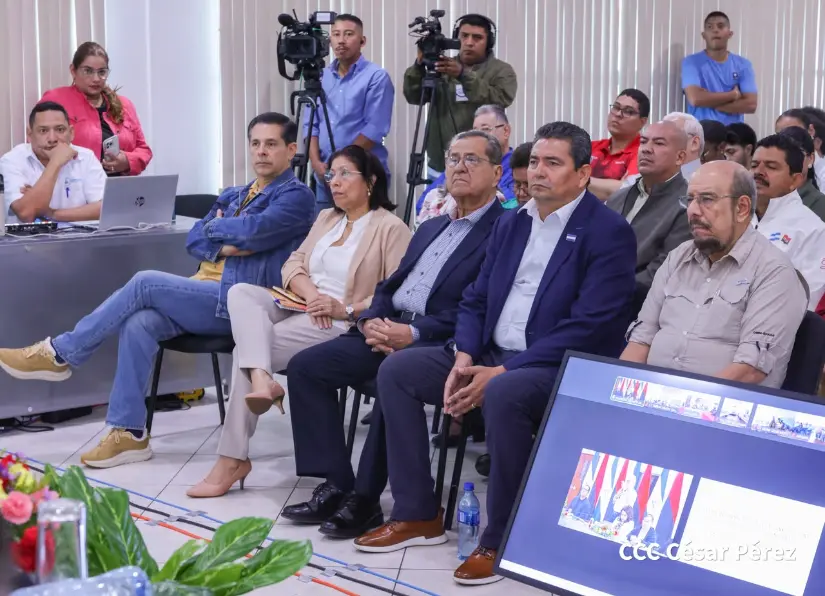 Consulta-19