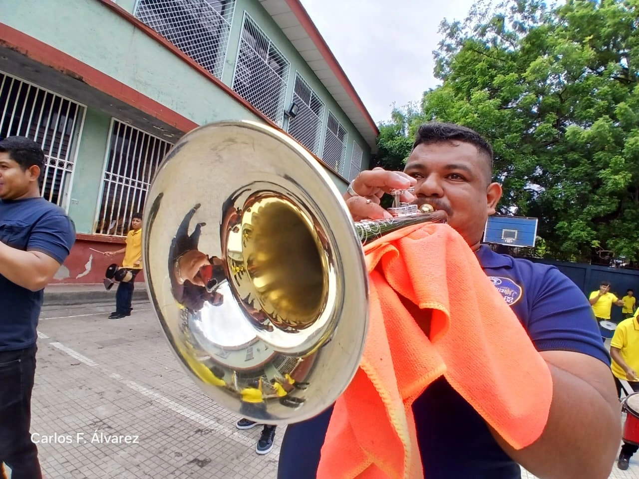 BANDAS11