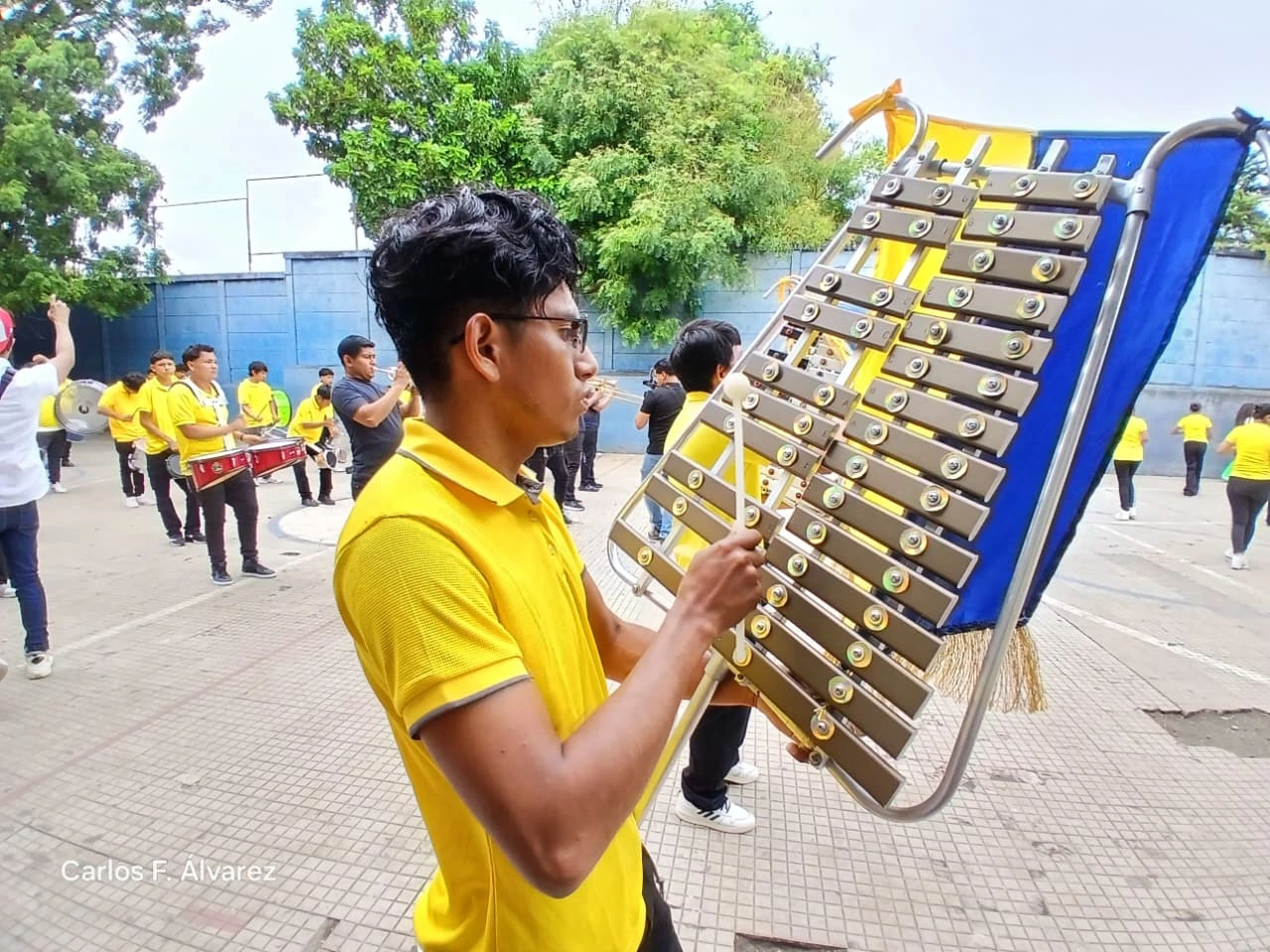 BANDAS14