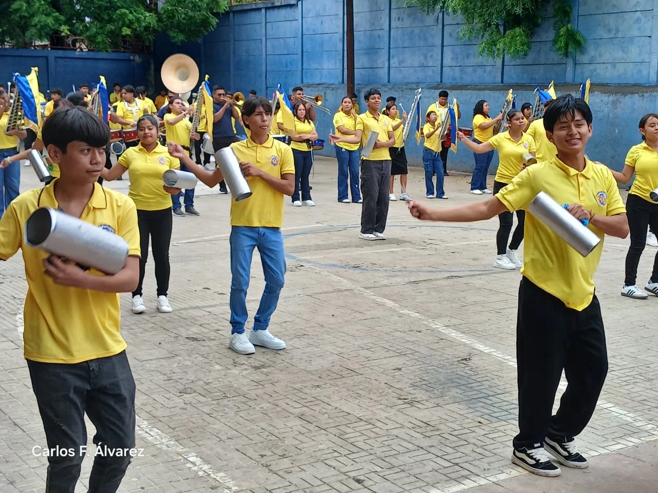 BANDAS16