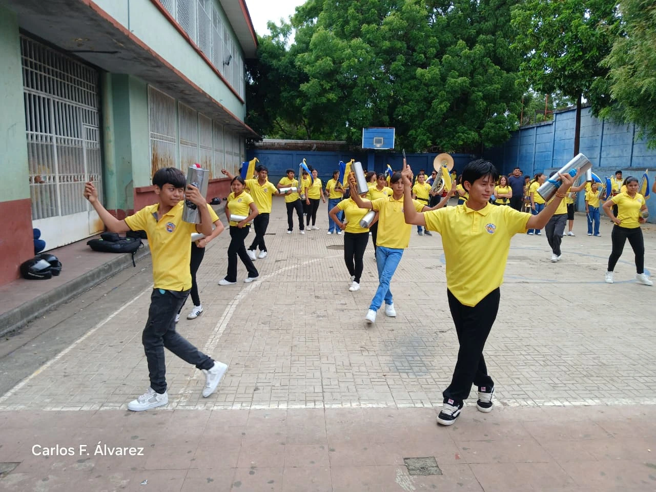 BANDAS17