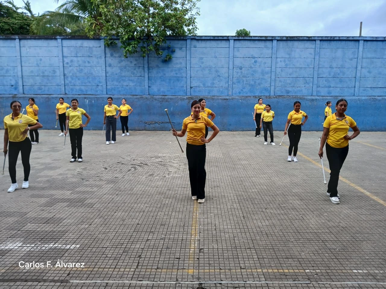 BANDAS19