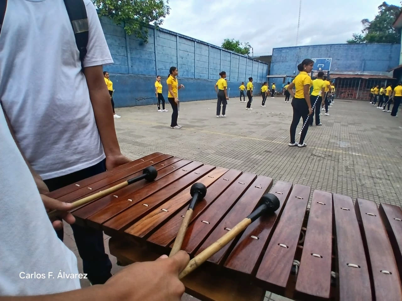 BANDAS20