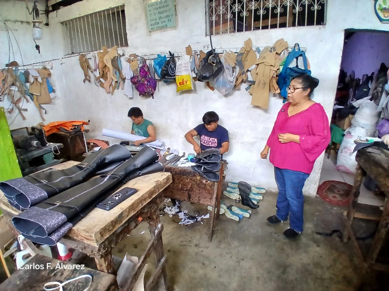 BANDAS26