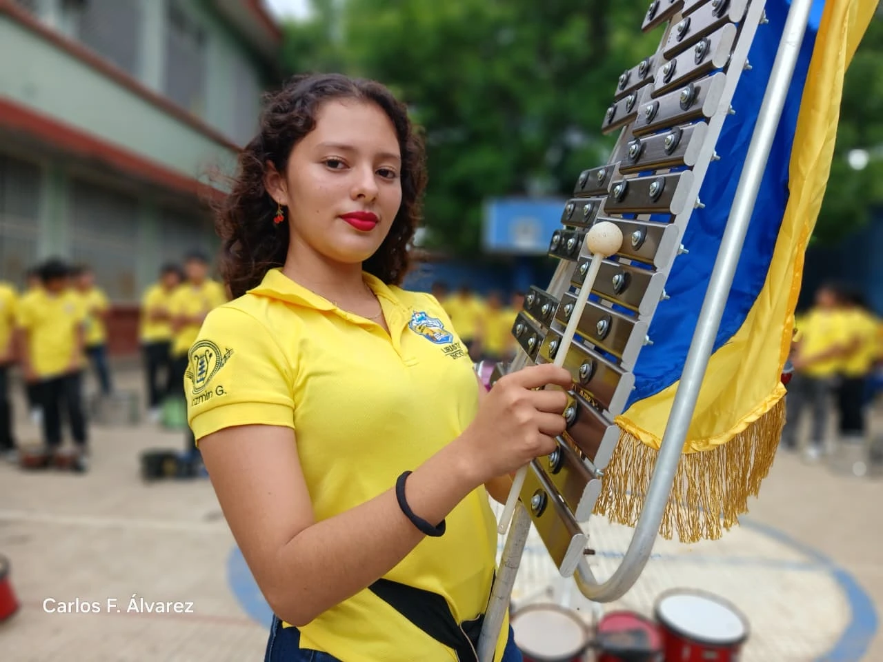 BANDAS5