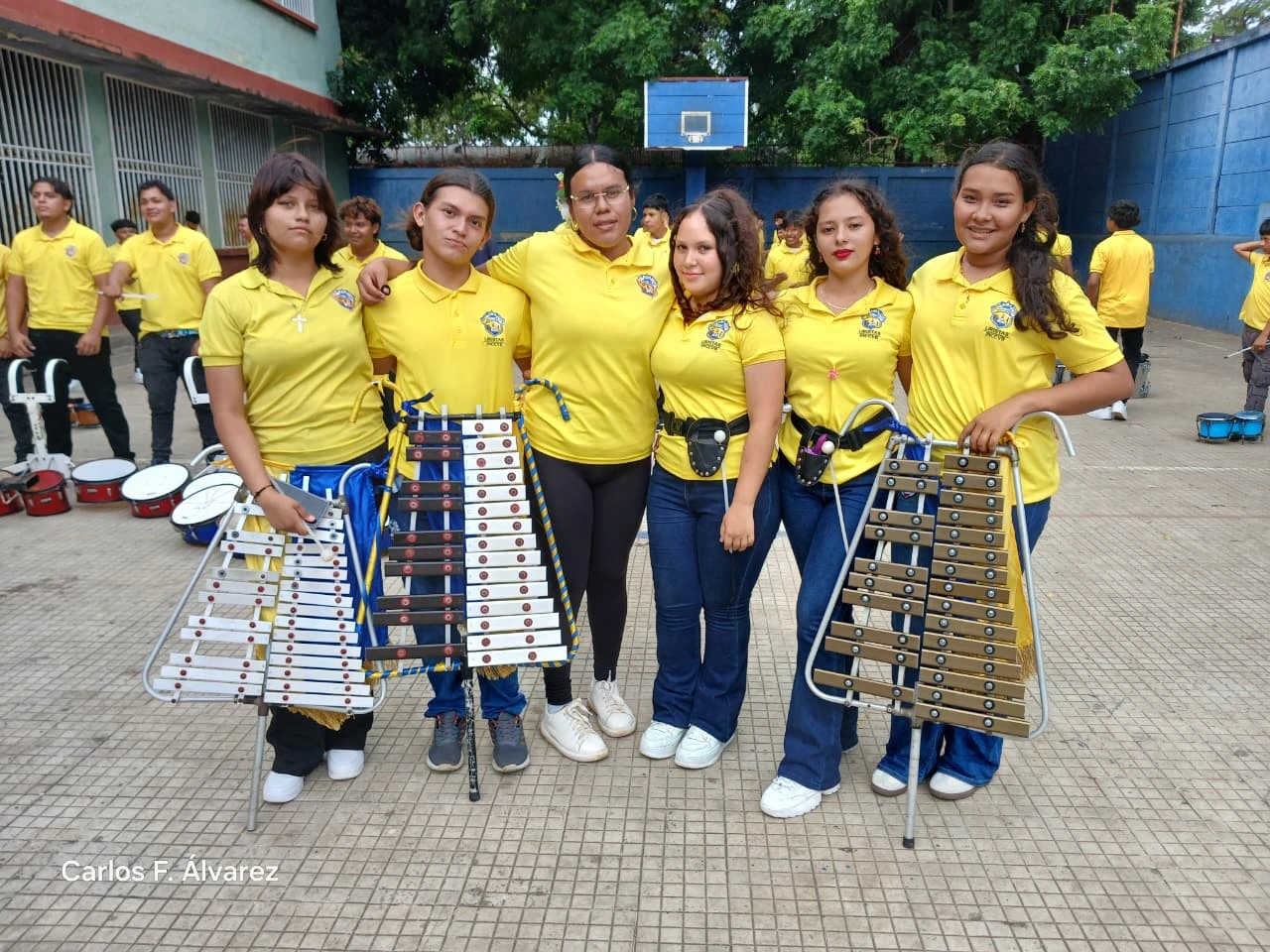 BANDAS6