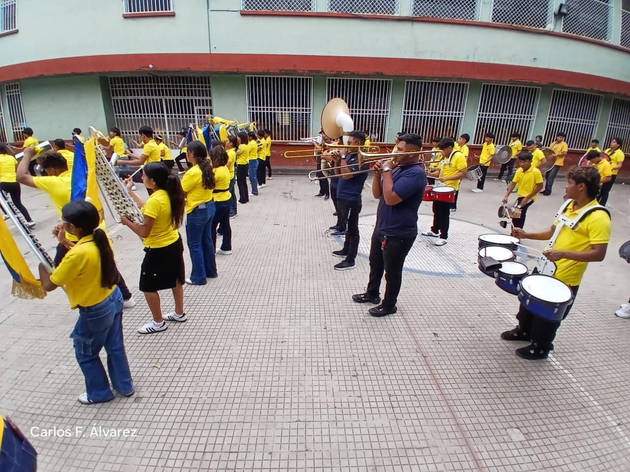 BANDAS7