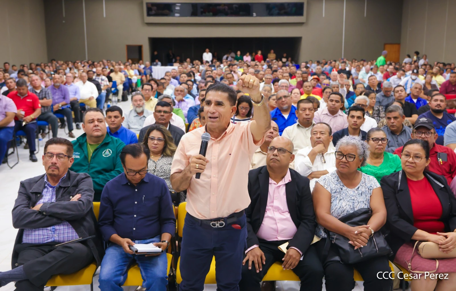 CONSULTA11