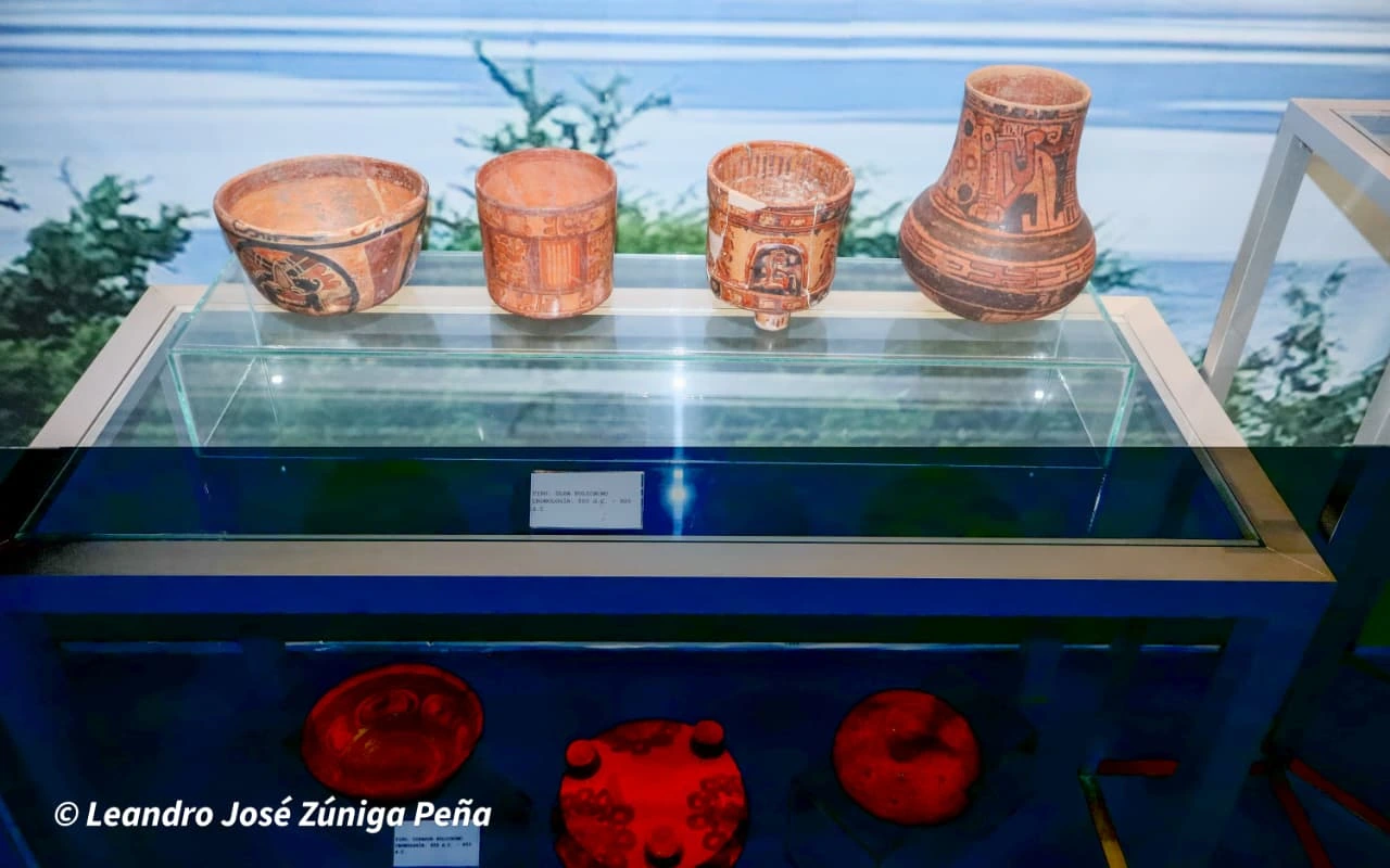 MUSEO19