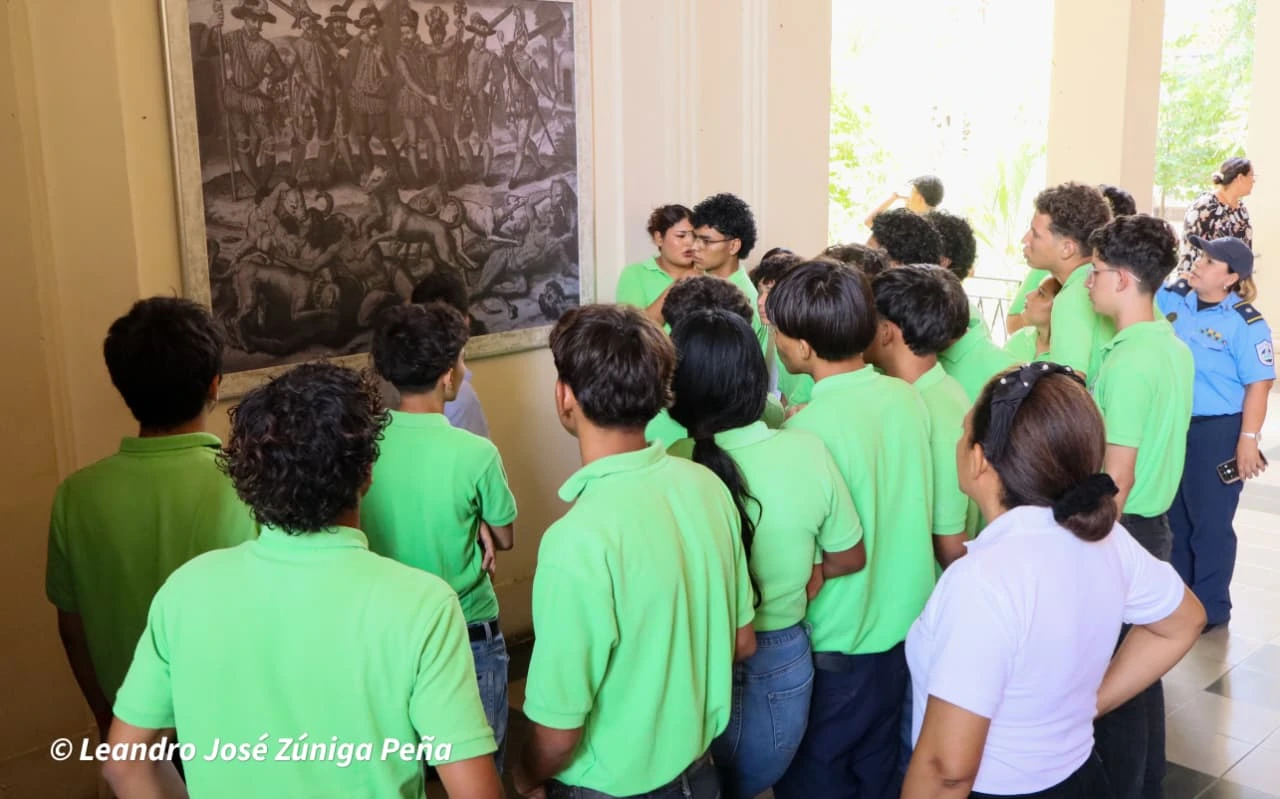 MUSEO7