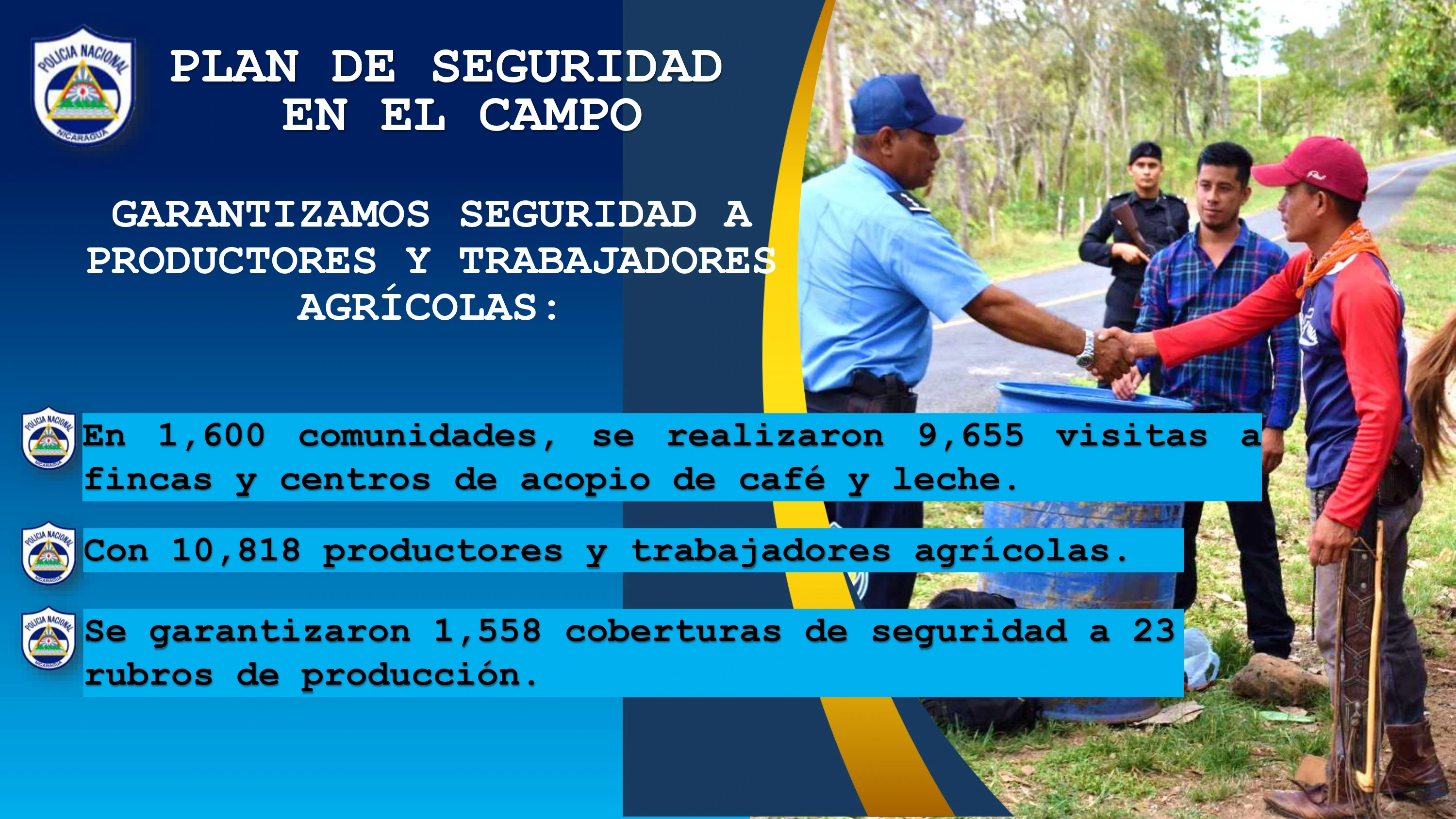 SEGURIDAD6