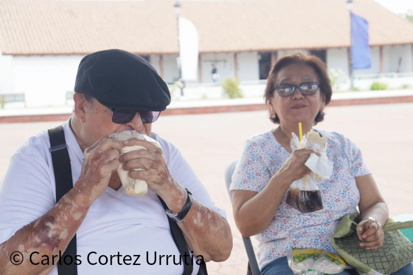 QUESILLO3