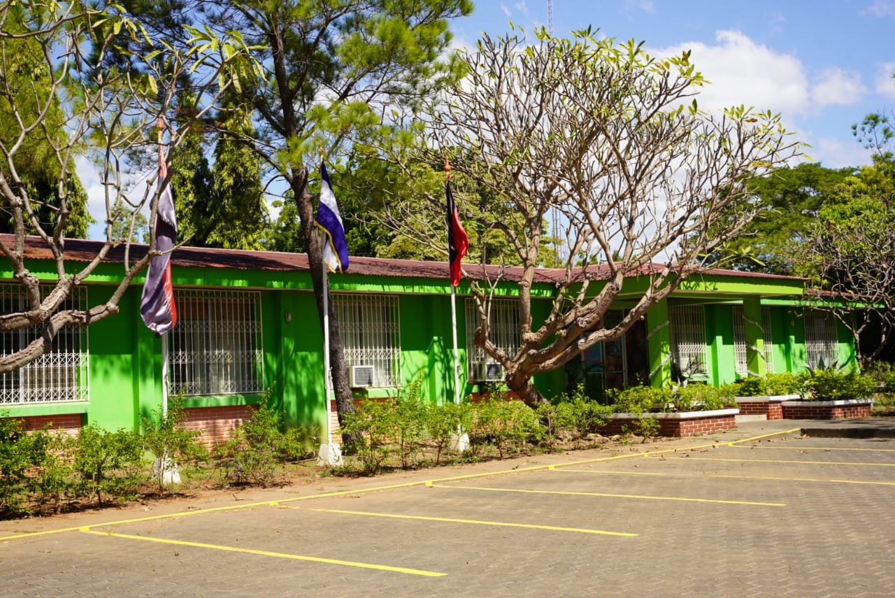 SEMILLAS-FORESTALES2