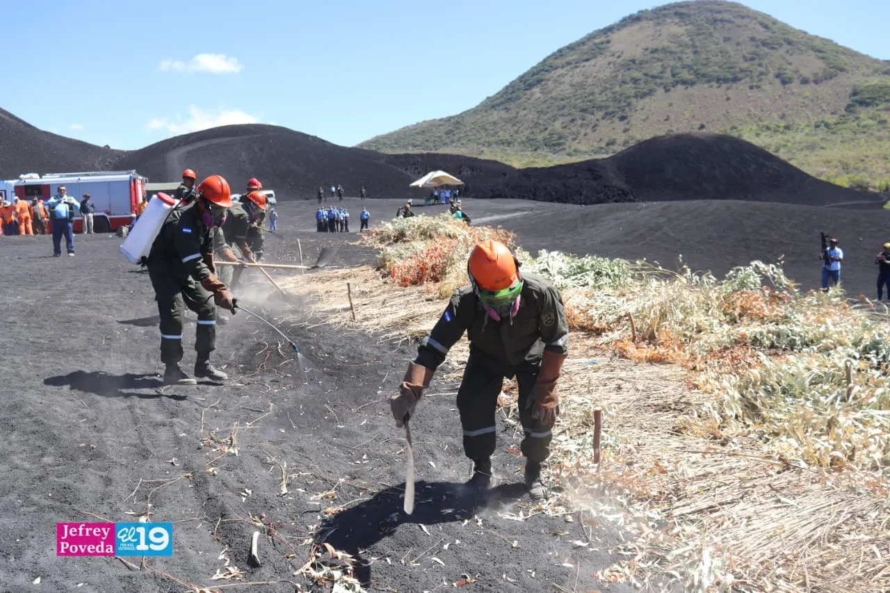 Plan-Incendios-Forestales-33_33_11zon