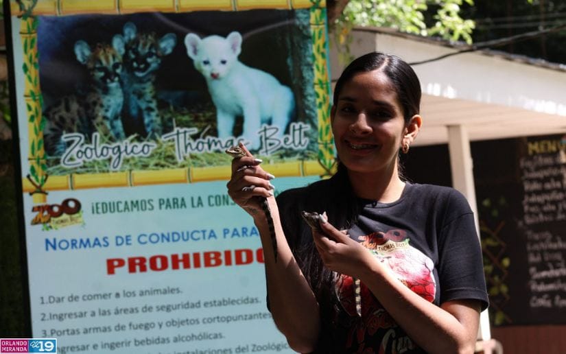 Zoologico-Thomas-Belt-14