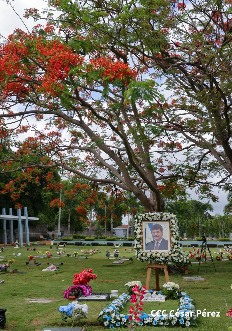 CEMENTERIO5
