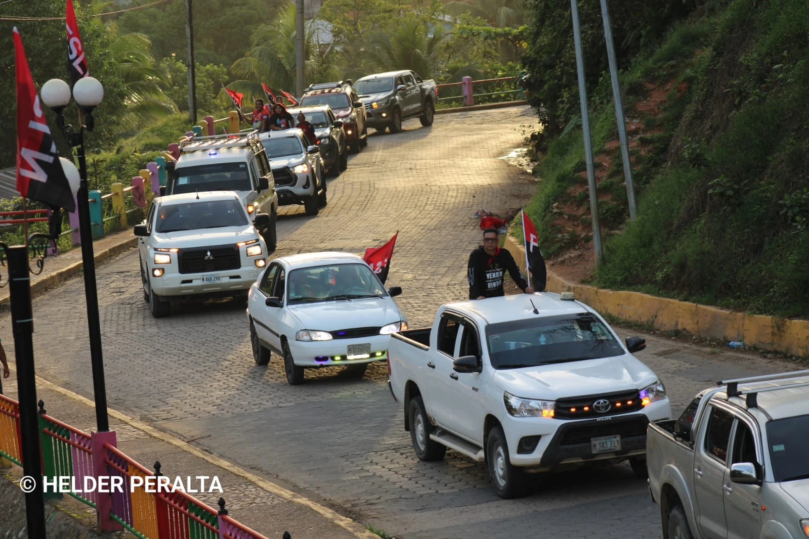 MINAS-(6)