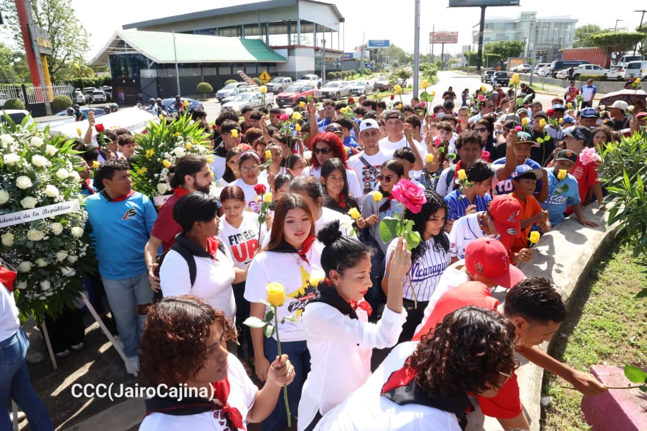 FLORES41