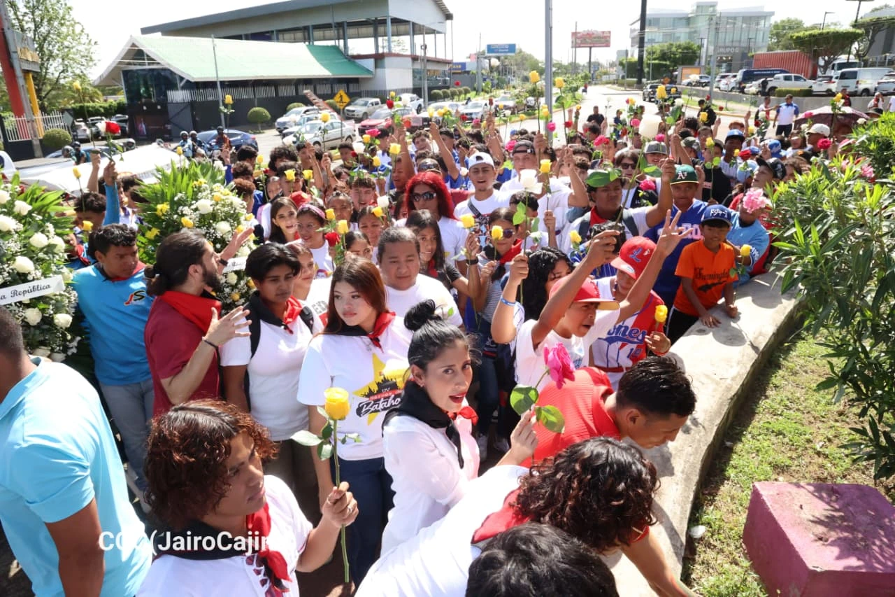 FLORES43