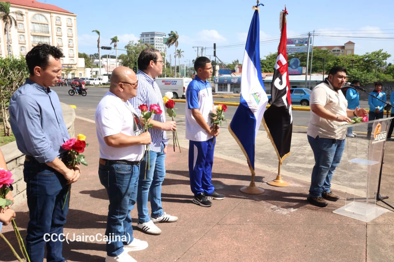 FLORES44